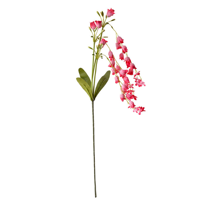 71a97791-4204-4907-91c1-ac01a35950c7-afbeelding3.jpg (10440949) 