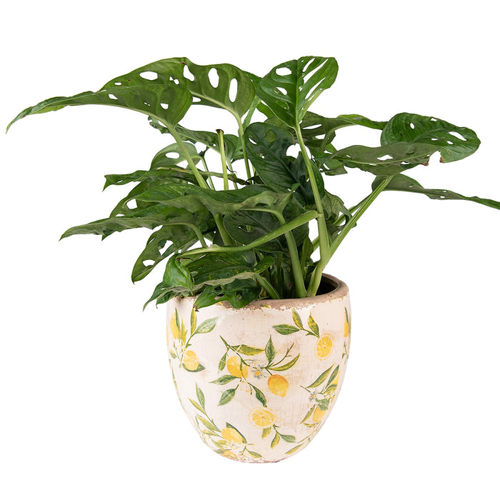 Clayre & Eef Bloempot Ø 14x14 cm Geel Keramiek Citroen