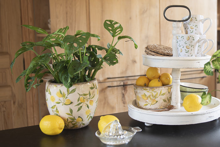 2495d32c-7b03-43a9-a49e-7d827e56e866-afbeelding4.jpg (10441064) 