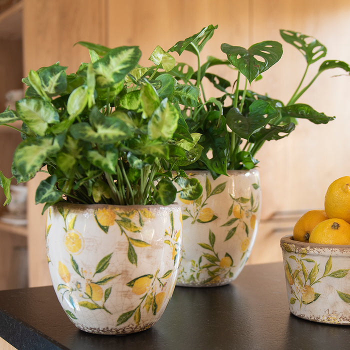 0132e041-440d-46cc-97d9-a319b4332cb5-afbeelding4.jpg (10441152) 