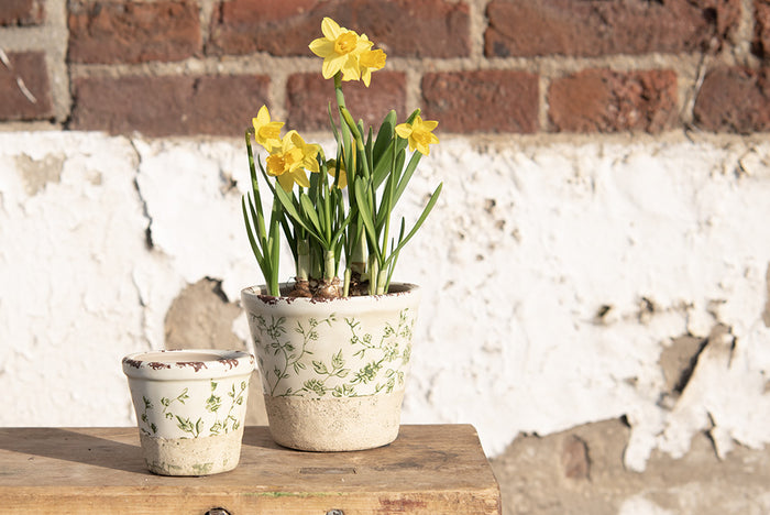 50e30660-3926-41bd-a72e-ad3afbd4124a-afbeelding4.jpg (10441164) 