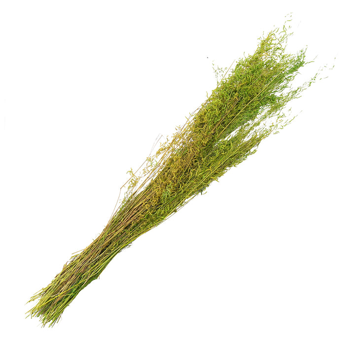 7a9393de-4a9d-4342-987b-8decdc7fdd34-afbeelding3.jpg (10442204) 