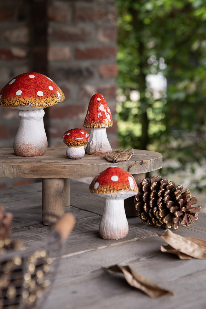 36e0ef19-3233-4c60-bf6a-75a2560d7488-afbeelding5.jpg (10442856) 