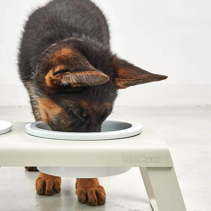 MiaCara Desco hondenvoerbak porselein small essen zwart