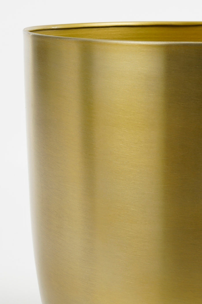 02f97534-9804-4339-8fe8-dfa3eb49f420-afbeelding4.jpg (10453763) 