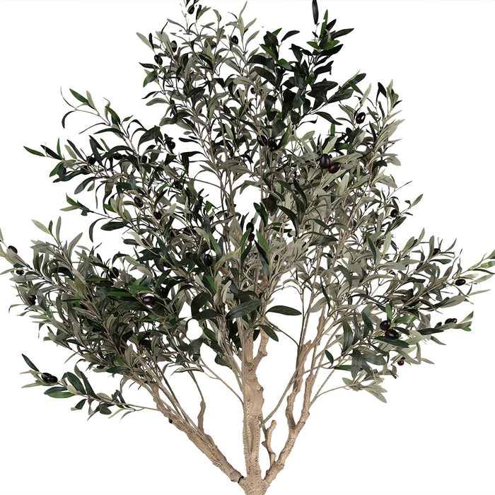 Clayre & Eef Kunst Olijfboom 240 cm Groen Kunststof