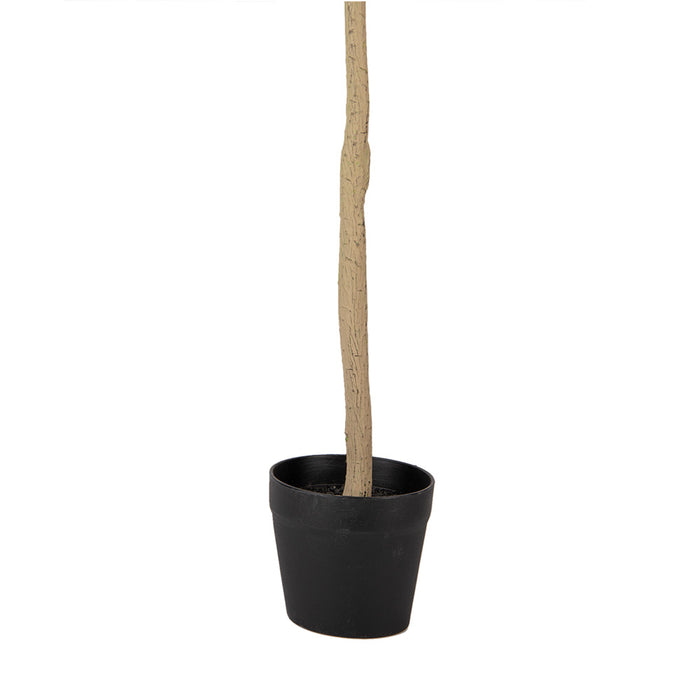 Clayre & Eef Kunst Olijfboom 90 cm Groen Kunststof