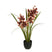 Mica Decorations Kunstbloem Cymbidium - 26x26x71 cm - Polyester - Bruin