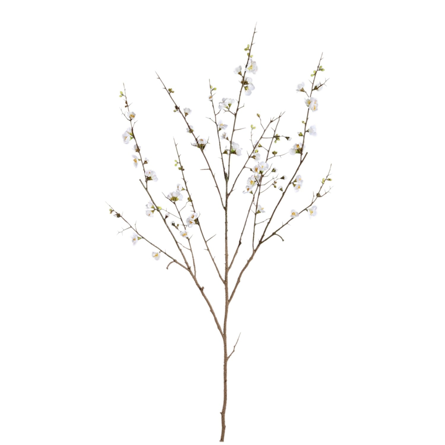 PTMD Kunstbloem Kersen - 81x79x137 cm - Polyester - Wit