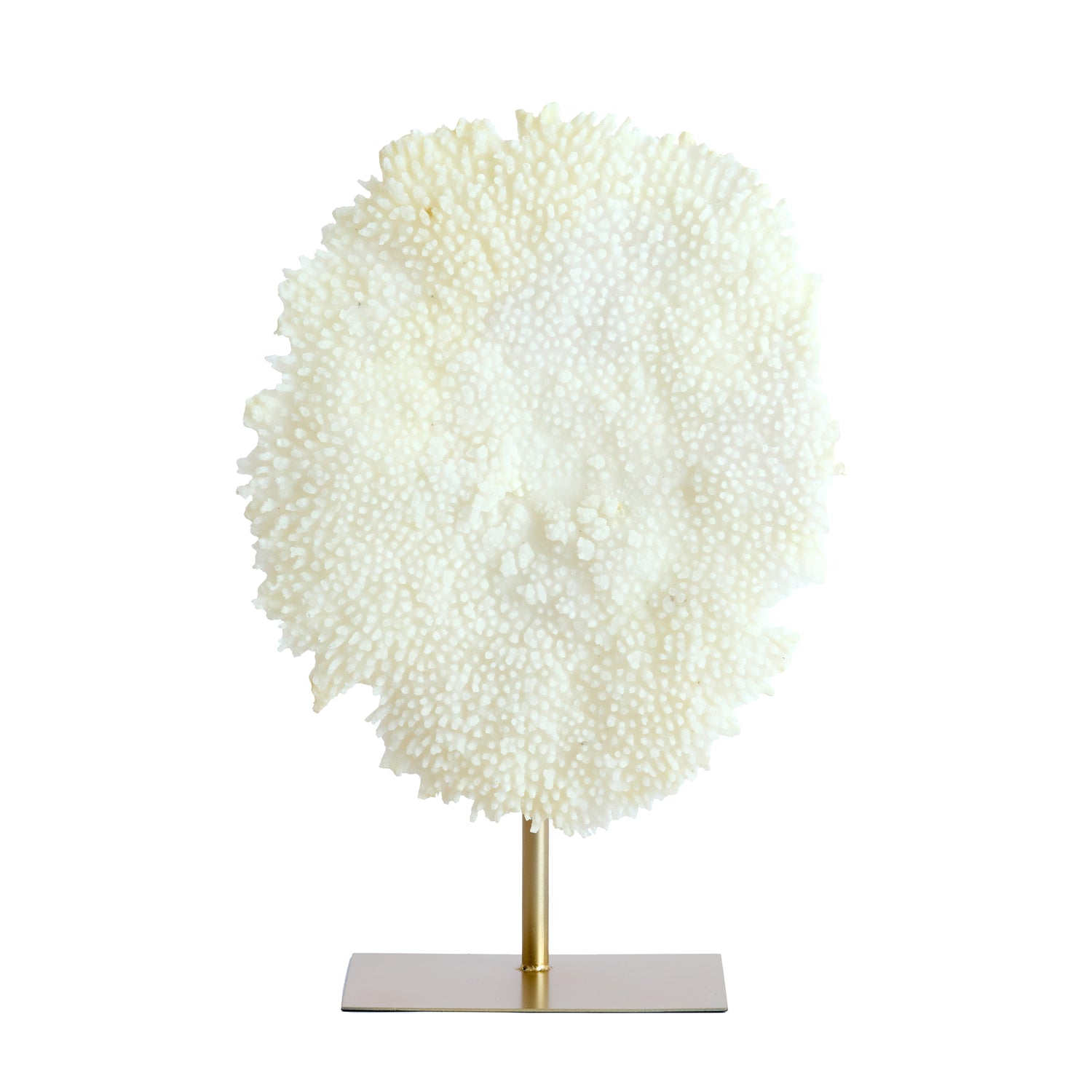 Light&living Ornament op voet 46x20x69 cm CORAL crème+antiek brons