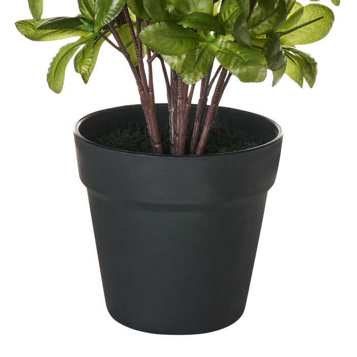 5369ccde-bcbd-441e-9816-ce66dbeabd48-afbeelding4.jpg (10456487) 