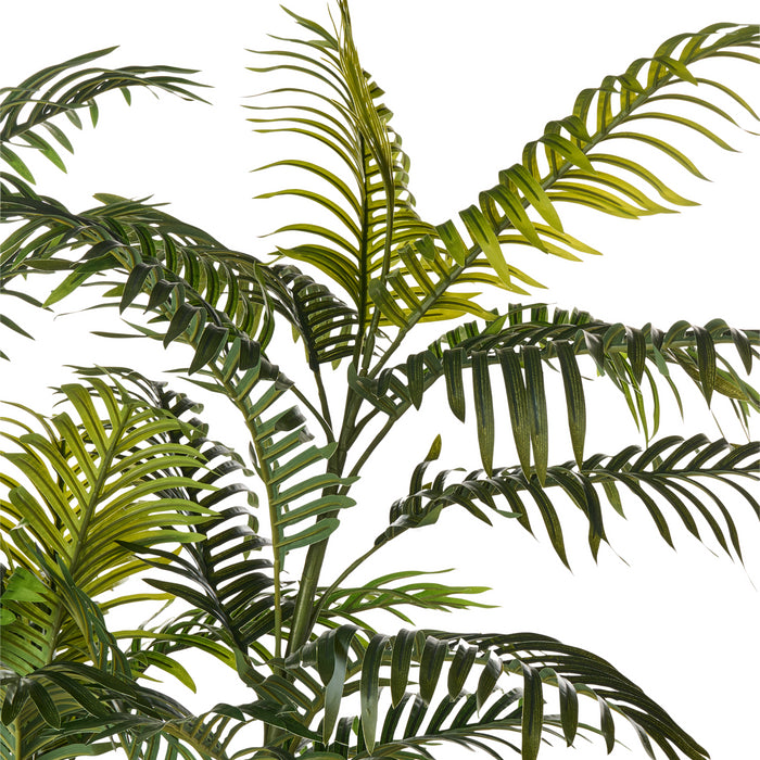 ae12642c-9aa3-417d-9a78-e1c24078b25a-afbeelding3.jpg (10456563) 