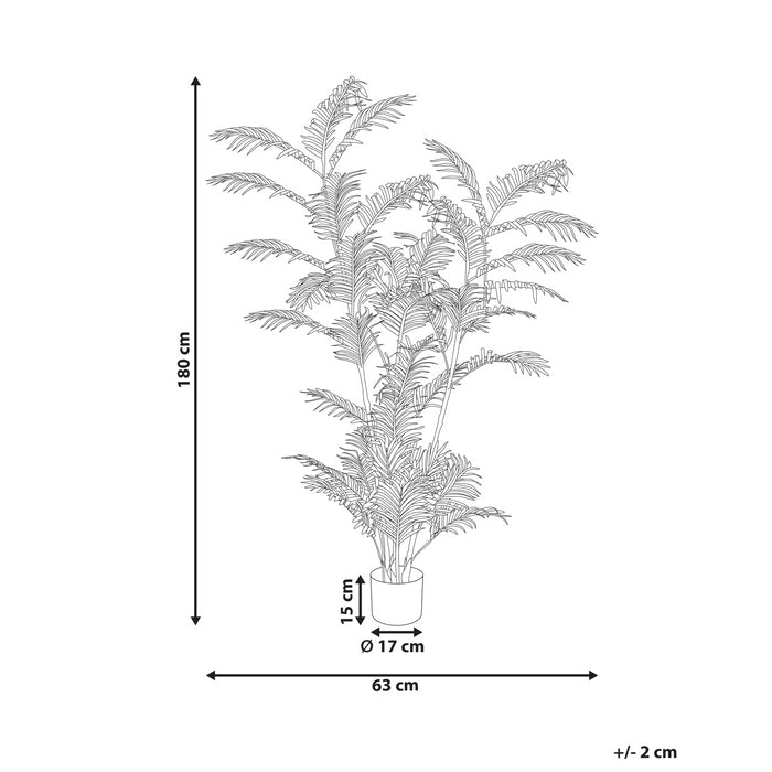 ae12642c-9aa3-417d-9a78-e1c24078b25a-afbeelding11.jpg (10456585) 