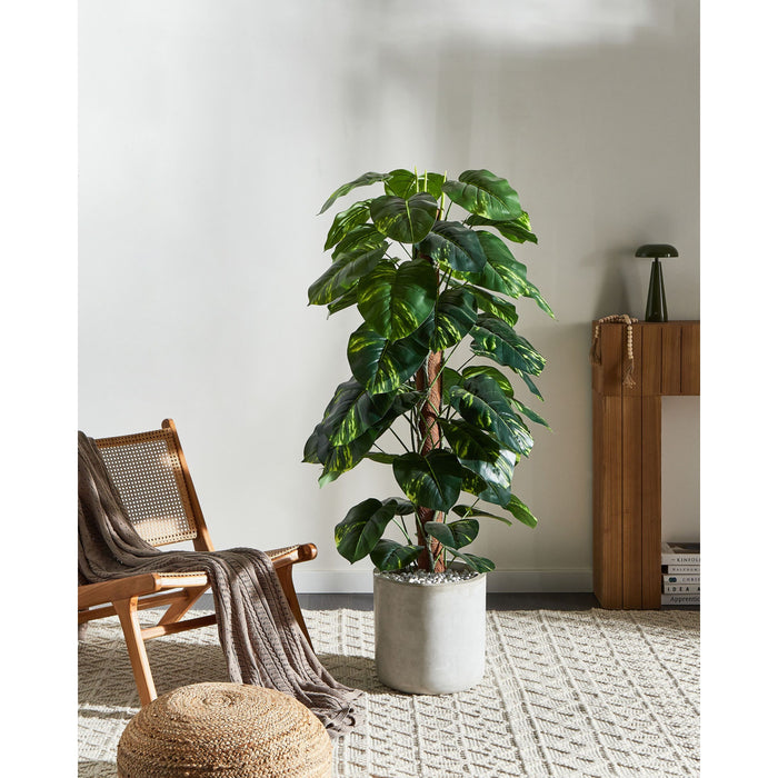Beliani-DIEFFENBACHIA-Kunstplant-Groen-152 cm-Synthetisch materiaal