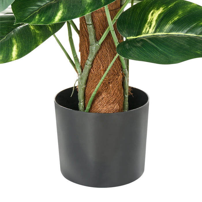 2e5c7b68-7b88-4453-b478-a9c6631f27c1-afbeelding4.jpg (10456631) 