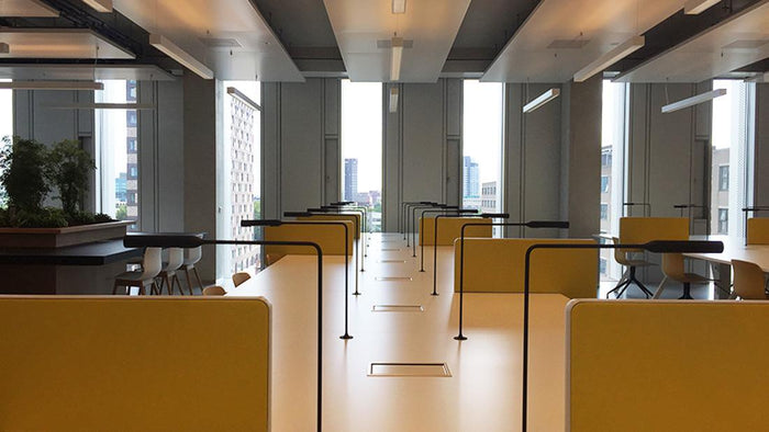 5fa975ad-3bea-4b4a-8482-95c393d0d5c4-afbeelding6.jpg (10648982) 