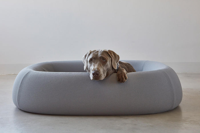 9ebebf46-8fa6-42de-b667-860ae35f84cf-afbeelding7.jpg (10649107) 