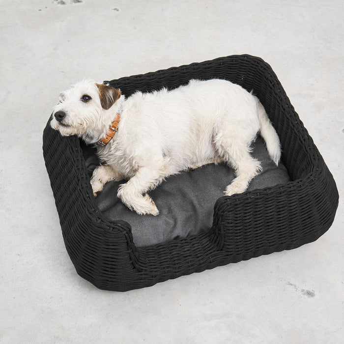 962f9240-60d6-49a3-bf19-d0ecbdfef7de-afbeelding6.jpg (10649591) 