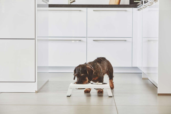 Desco hondenvoerbak small aluminium grijs