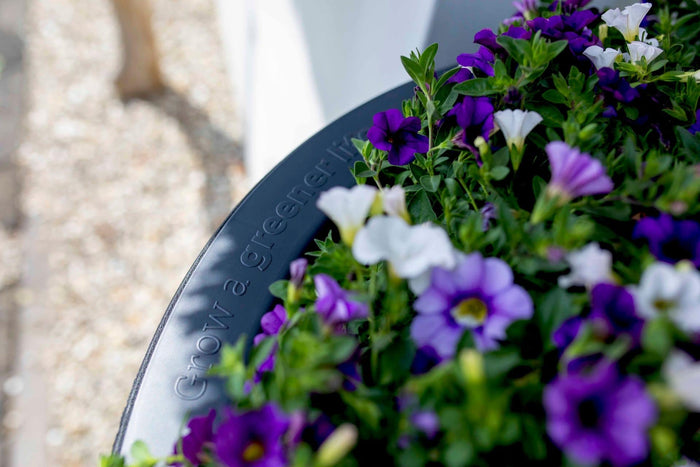 Capi Europe Regenton Groove 330L - 66x66x140 - Zwart