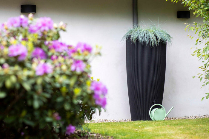 Capi Europe Regenton Groove 330L - 66x66x140 - Zwart