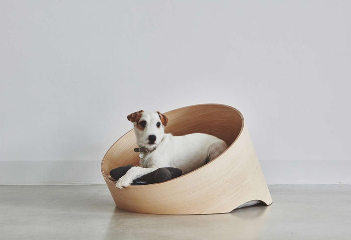 673e9fee-dd16-43ae-86f4-2b4c8d9c21f4-afbeelding5.jpg (10653325) 