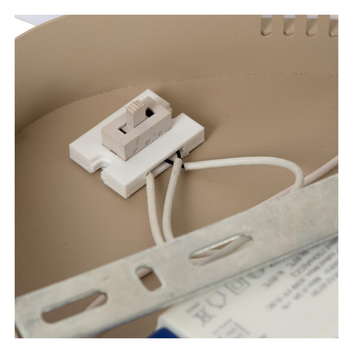 f54daf0d-20ed-4d35-95a6-b76fb76b3d1c-afbeelding8.jpg (10654389) 