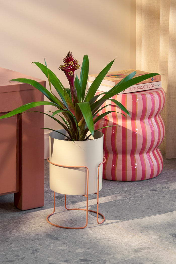 6fbee3ab-05de-4122-8783-acc3294126fb-afbeelding7.jpg (10656049) 