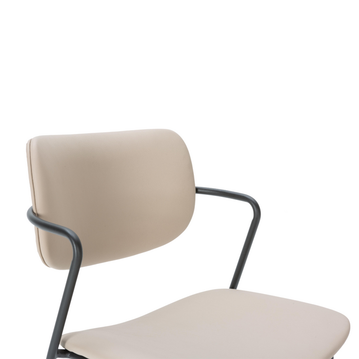 Calicosy - Set 2 stoelen MAIKA - L49 cm - Zwart metaal
