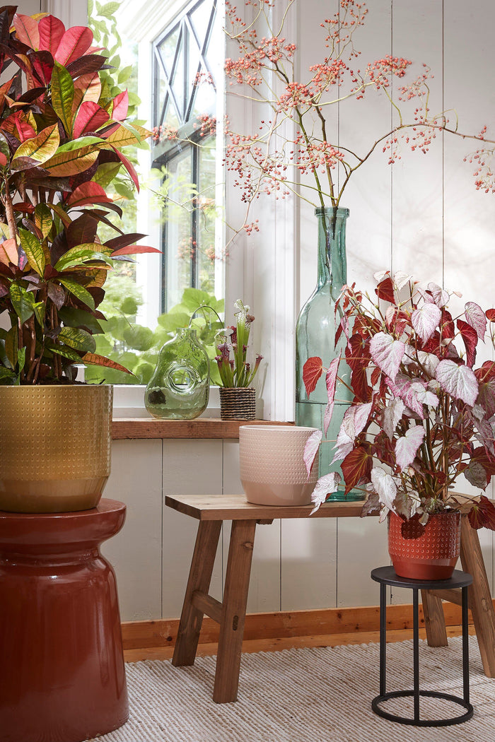 Mica Decorations Rioja Glazen Fles - H100 x Ø21 cm - Transparant