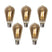 LUEDD Set van 5 E27 dimbare LED lampen ST64 smoke glas 5W 450 lm