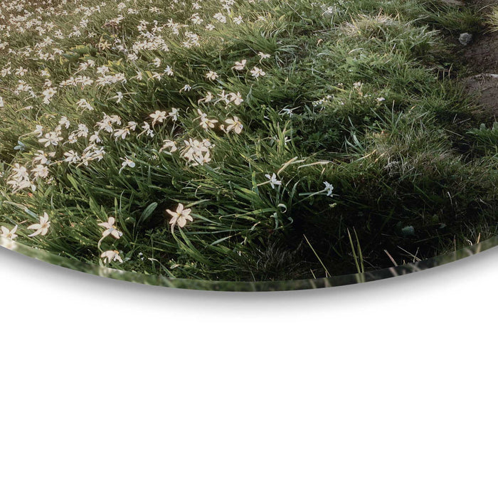 Reinders - Bergbloei in de ochtendzon - Glasschilderij Ø 50 cm - Groen