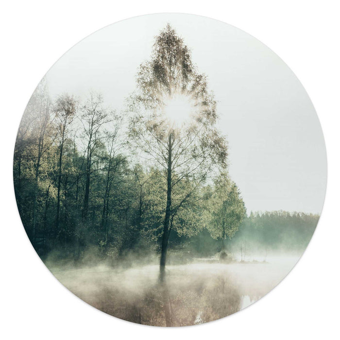 Reinders - Zon door de boom - Glasschilderij Ø 50 cm - Groen