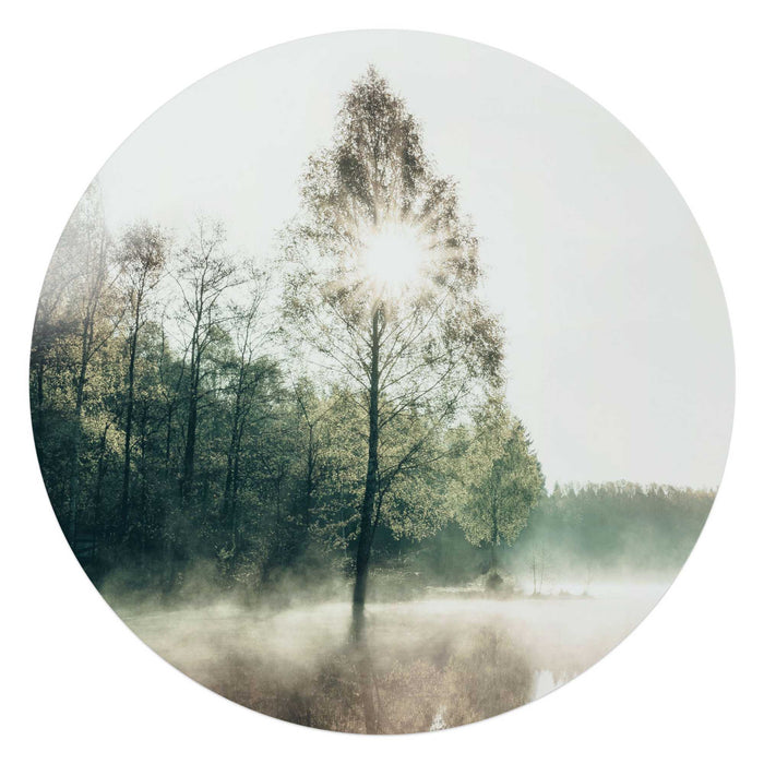 Reinders - Zon door de boom - Glasschilderij Ø 70 cm - Groen