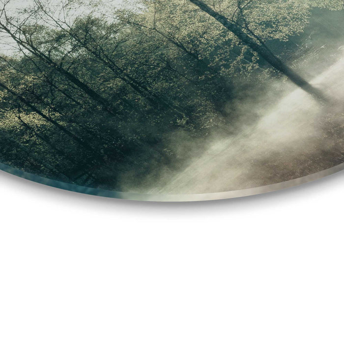 Reinders - Zon door de boom - Glasschilderij Ø 70 cm - Groen