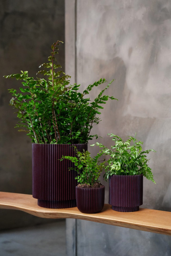 Capi Europe Vaas cilinder Groove Colours - 15x17 - Merlot rood