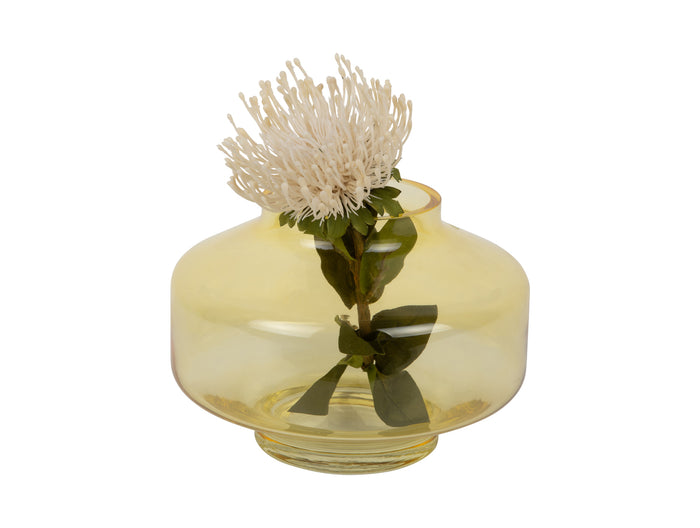 present time - Vase Pasmoso