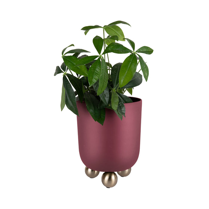 present time - Plant Pot Estilo Large