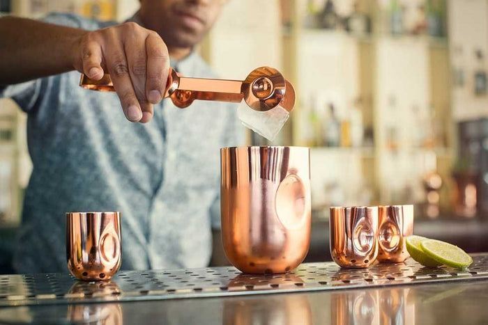 Plum Moscow Mule glas set van 2