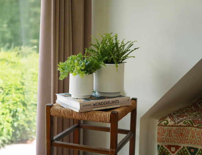 Capi Europe - Vaas cilinder Groove  - 19x21 - Beige