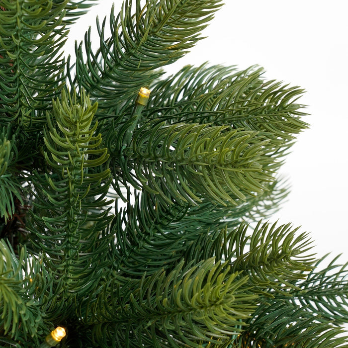 Black Box Trees Nagoya Set van 2 Kerstbomen en 1 Krans - H90 x Ø45 cm