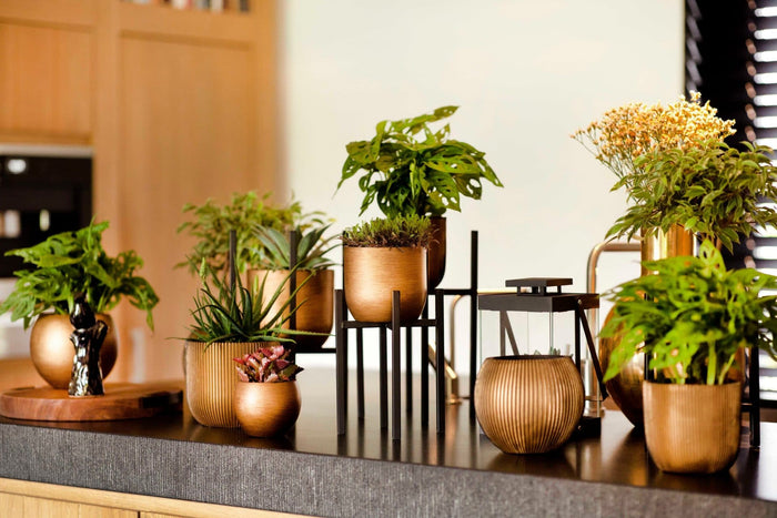 Capi Europe - Vaas bol Retro  - 30x25 - Koper