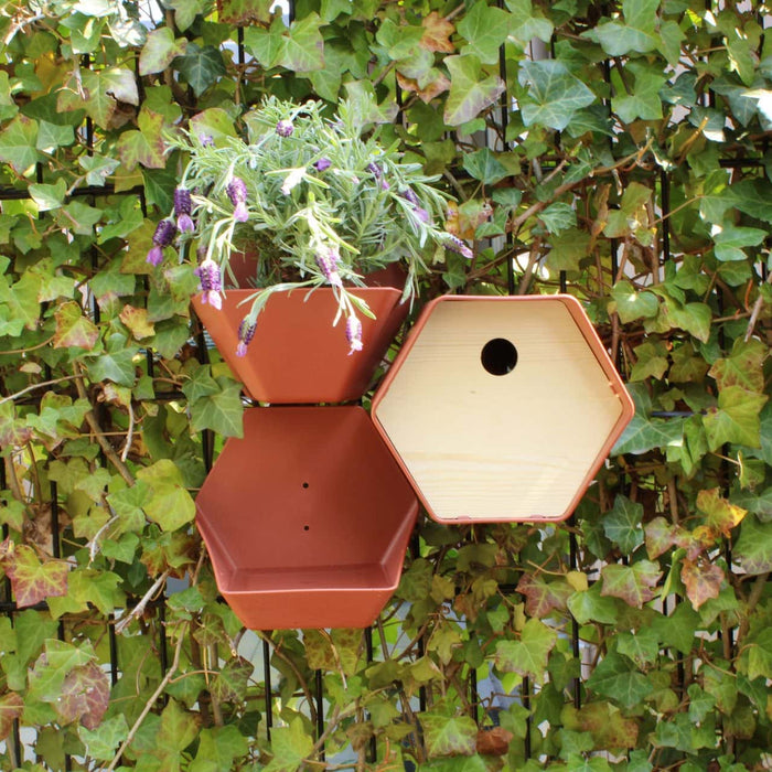 Capi Europe - Vogelhuisje ovaal Hive - 19x23x20 - Bruin