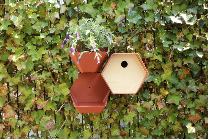 Capi Europe - Vogelhuisje rond Hive - 19x23x20 - Bruin
