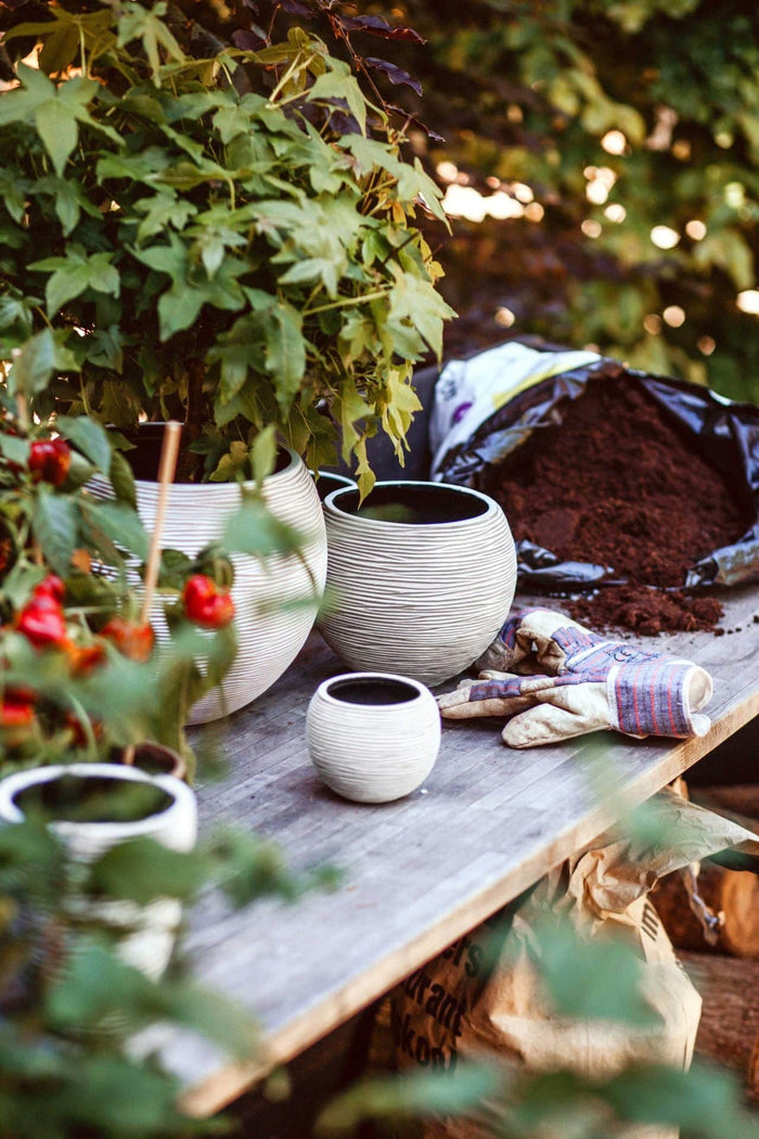 Capi Europe - Vaas bol Rib  - 22x18 - Ivoor