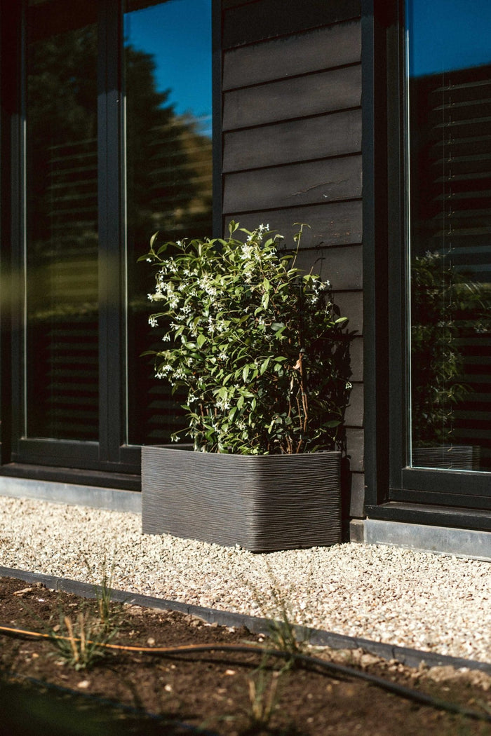Capi Europe - Bak rechthoek Rib NL - 73x39x32 - Warm taupe