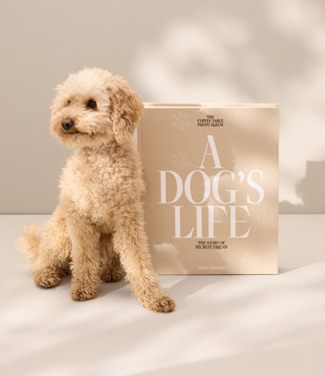Printworks Fotoalbum Hond - A Dog's Life