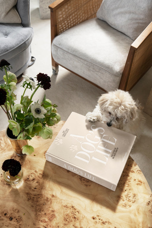 Printworks Fotoalbum Hond - A Dog's Life