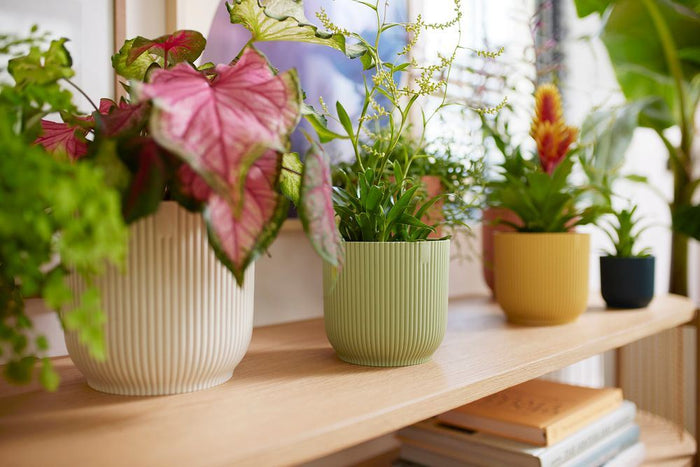 elho Vibes Fold Rond 16 - Sorbet groen (Groen) - Ø 16 x H 15 cm -