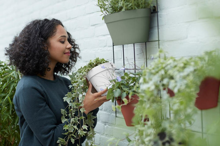 elho Loft Urban Green Wall Duo 28 - Pistachegroen (Groen) - L 28 x B